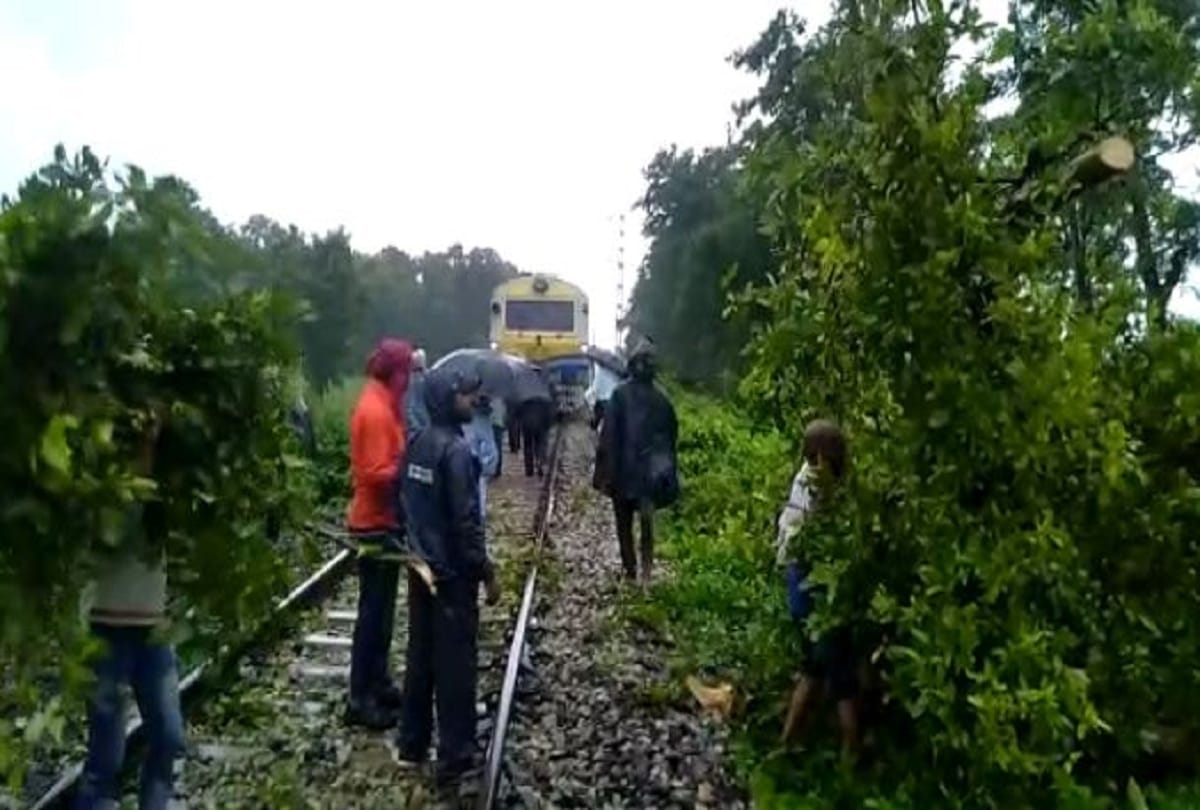 UP railway news service disturbed due to tree fall on railway track