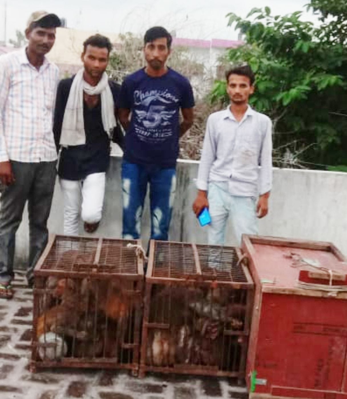 the mathura team caught 80 monkey  in mawana