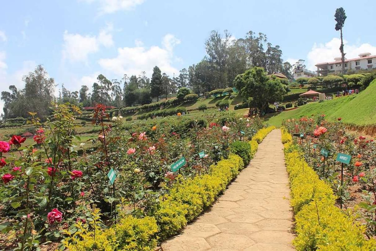 ooty hill station best places to visit in november