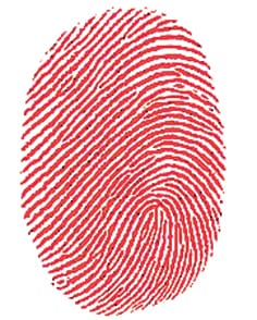 Solver Group arrested in prayagraj