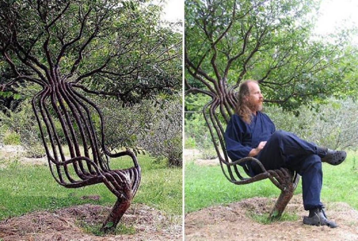 Couple Trains Trees to Grow into Furniture in England