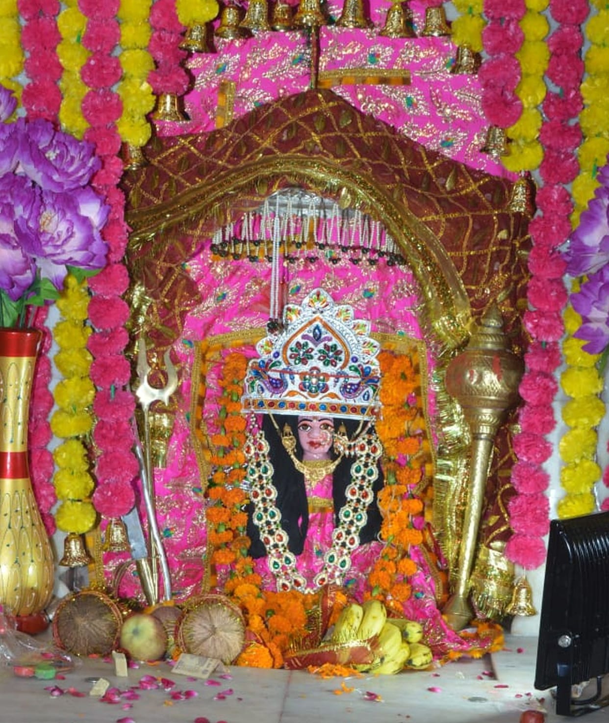 Brahmacharini asked for wishes on the second day of Sharadiya Navratri