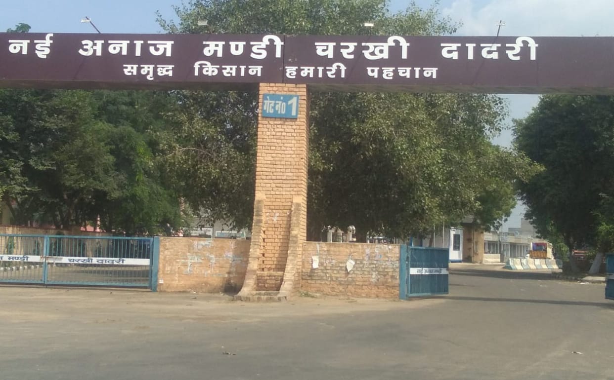 Millet procurement will start in the market from tomorrow, Bardana did not reach the warehouse