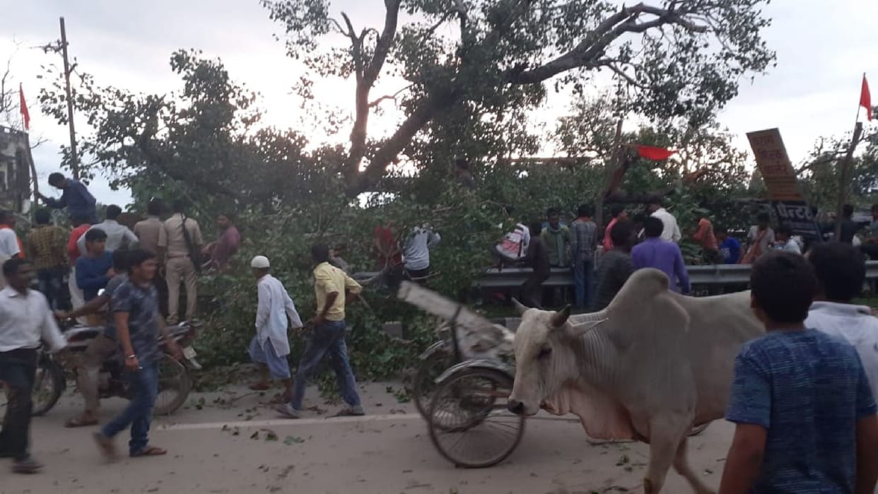 Trees fell on national highway, vehicles damaged