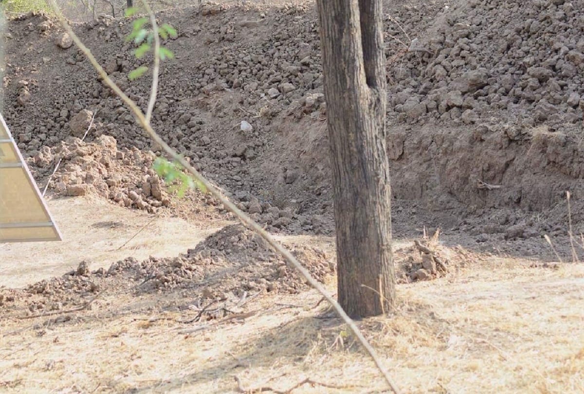 A Leopard is hidden somewhere in this viral picture Can you spot it