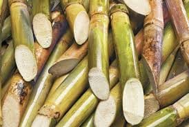 fraud in sugarcane quata