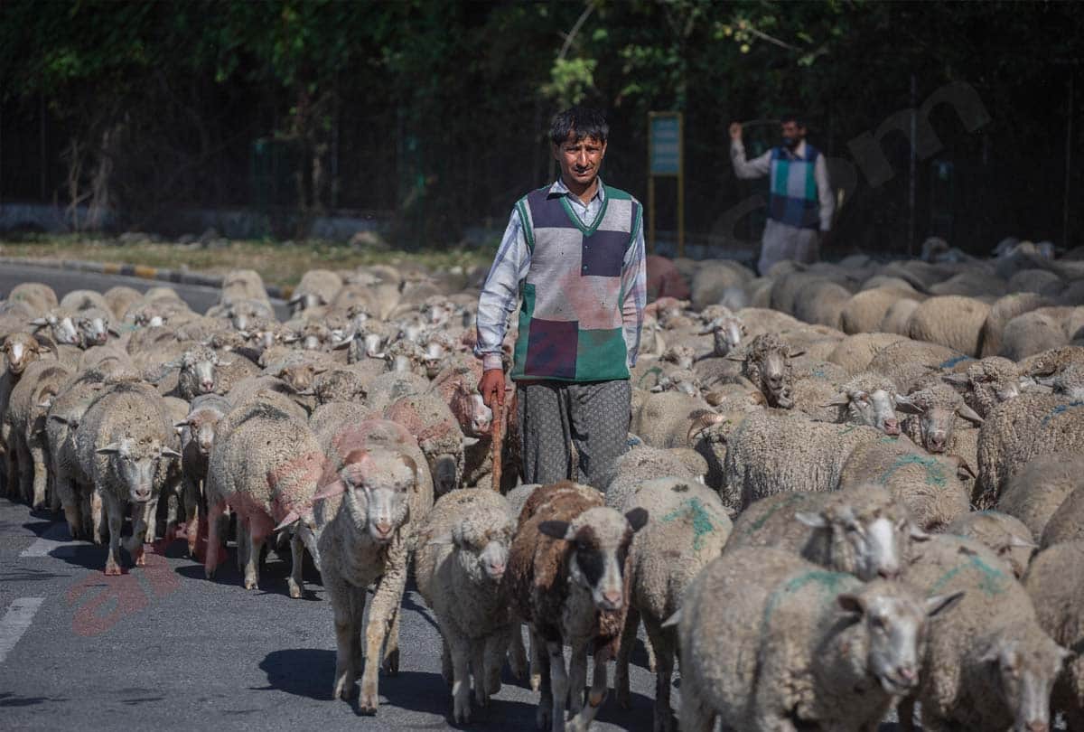 Pakistan has broken ceasefire more than 2 thousand times, firing did not stop from pakistan on LOC