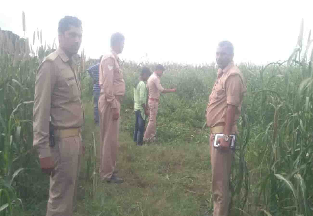 forest department caught python who swallowed peacock in auraiya uttar pradesh