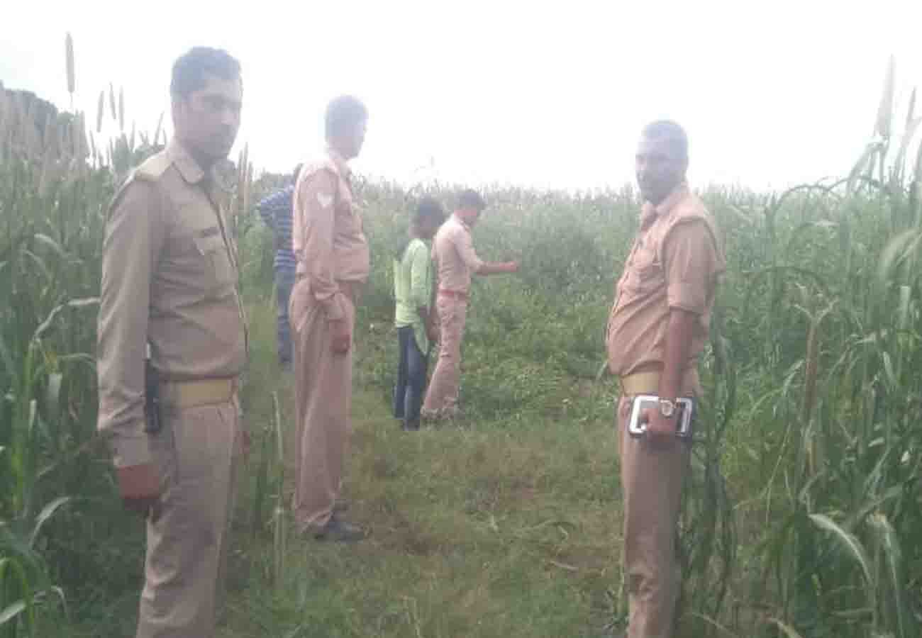 forest department caught python who swallowed peacock in auraiya uttar pradesh