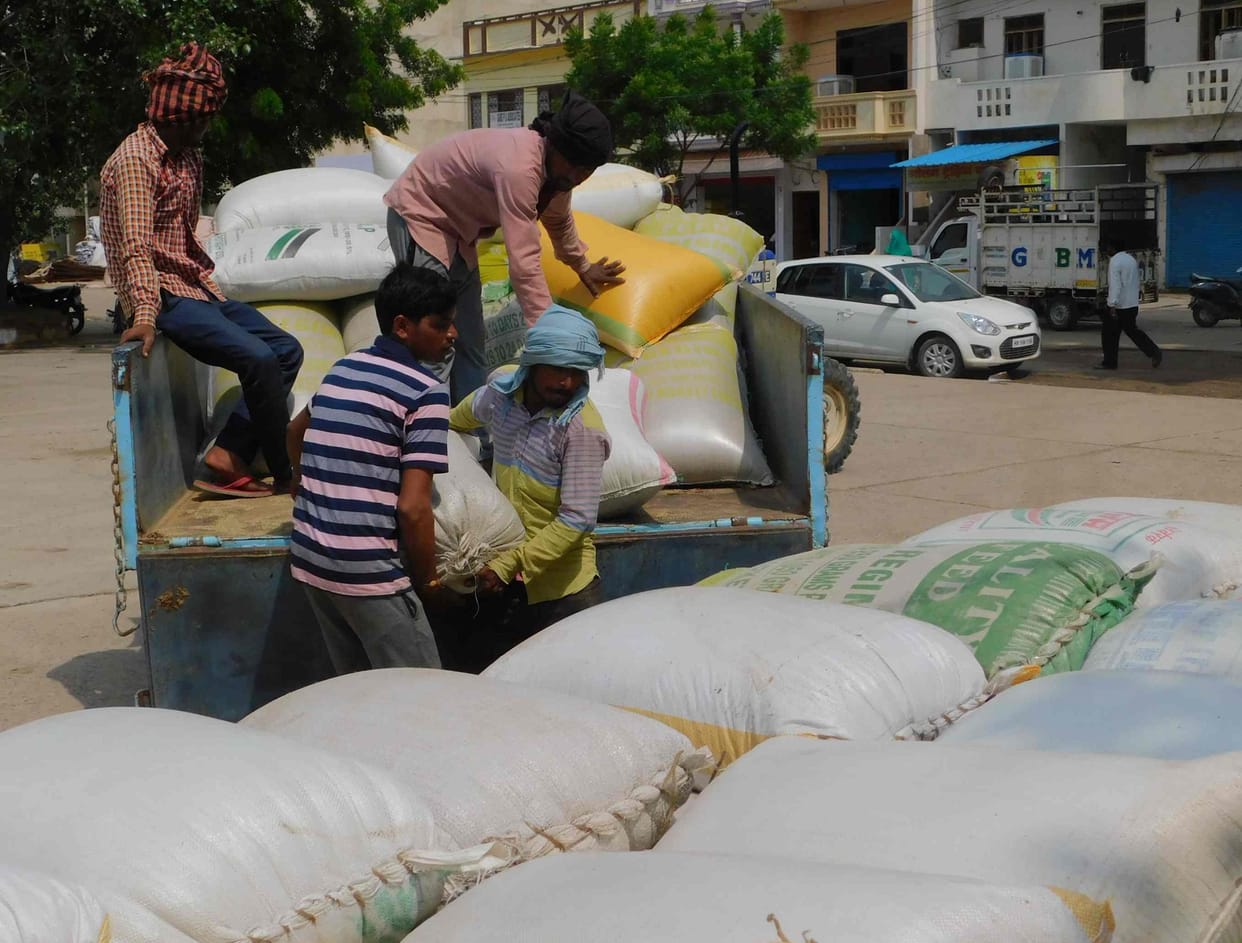 farmar,grain market,tok
