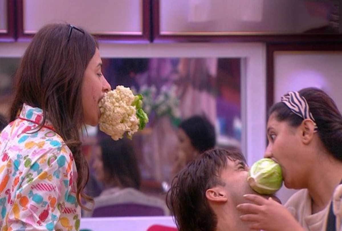 bigg boss 13 users ameesha patel disappointed with Ameesha Patel malkin act