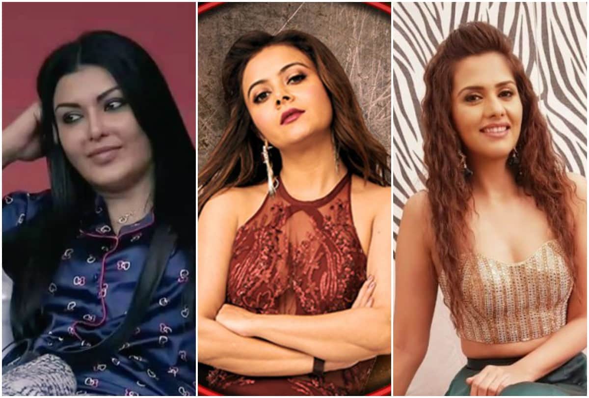 Bigg Boss 13 Koena Mitra Daljeet Kaur shehnaz gill wants love partner in salman khan show