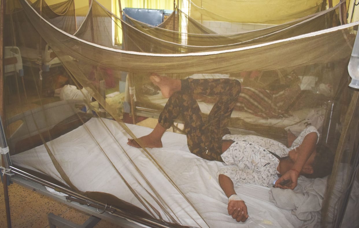 dengue in mainpuri,  BEO afected by mosquito bite