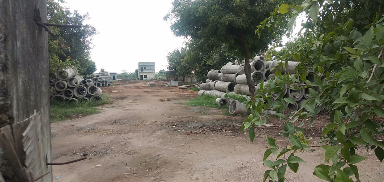 local body closed the cowshed