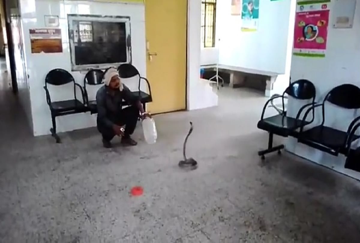 Man reaches hospital with snake in his hands
