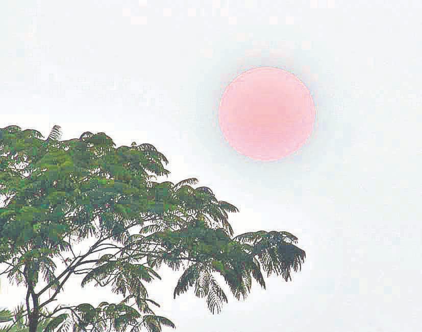 weather change in meerut