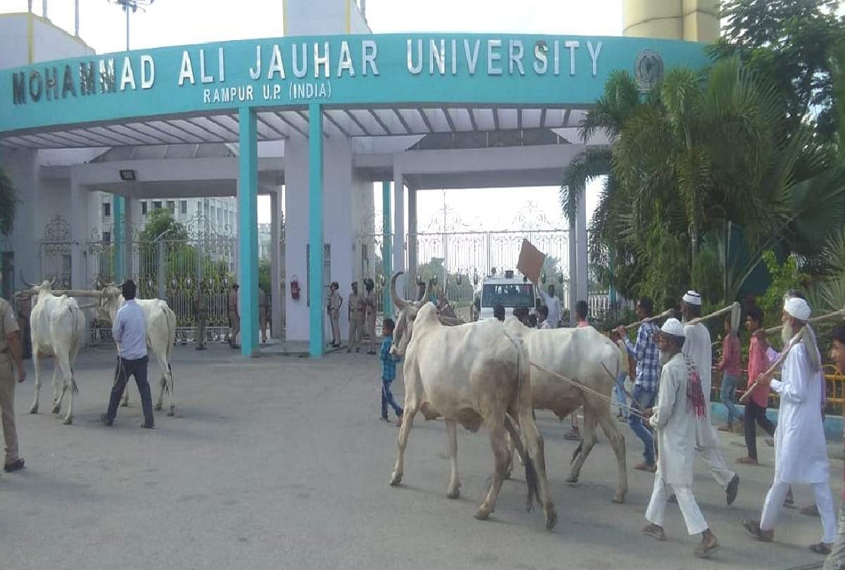 Administration take  action, Revenue Department team reached Johar University