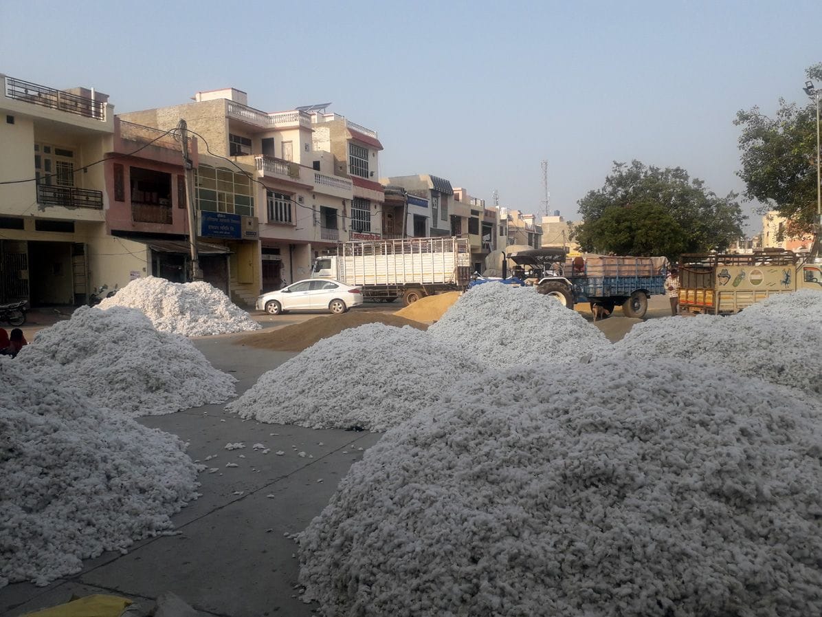 cotten continues to fall