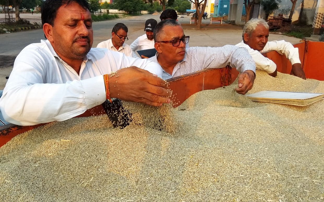 agriculture,farmar,grain market