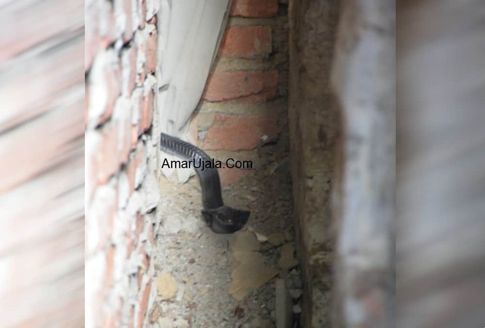 king cobra Enter In Market Area Almora panic in public