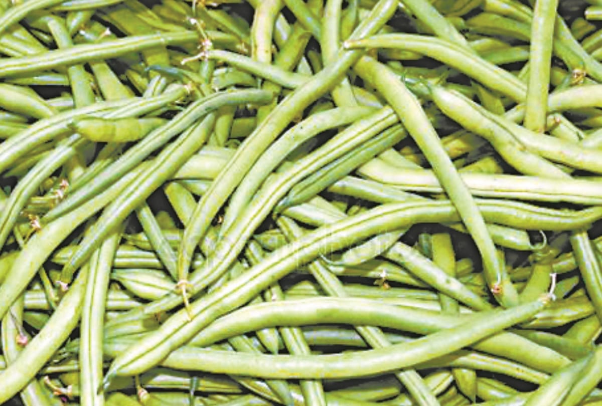 lobia is beneficial for heart patients