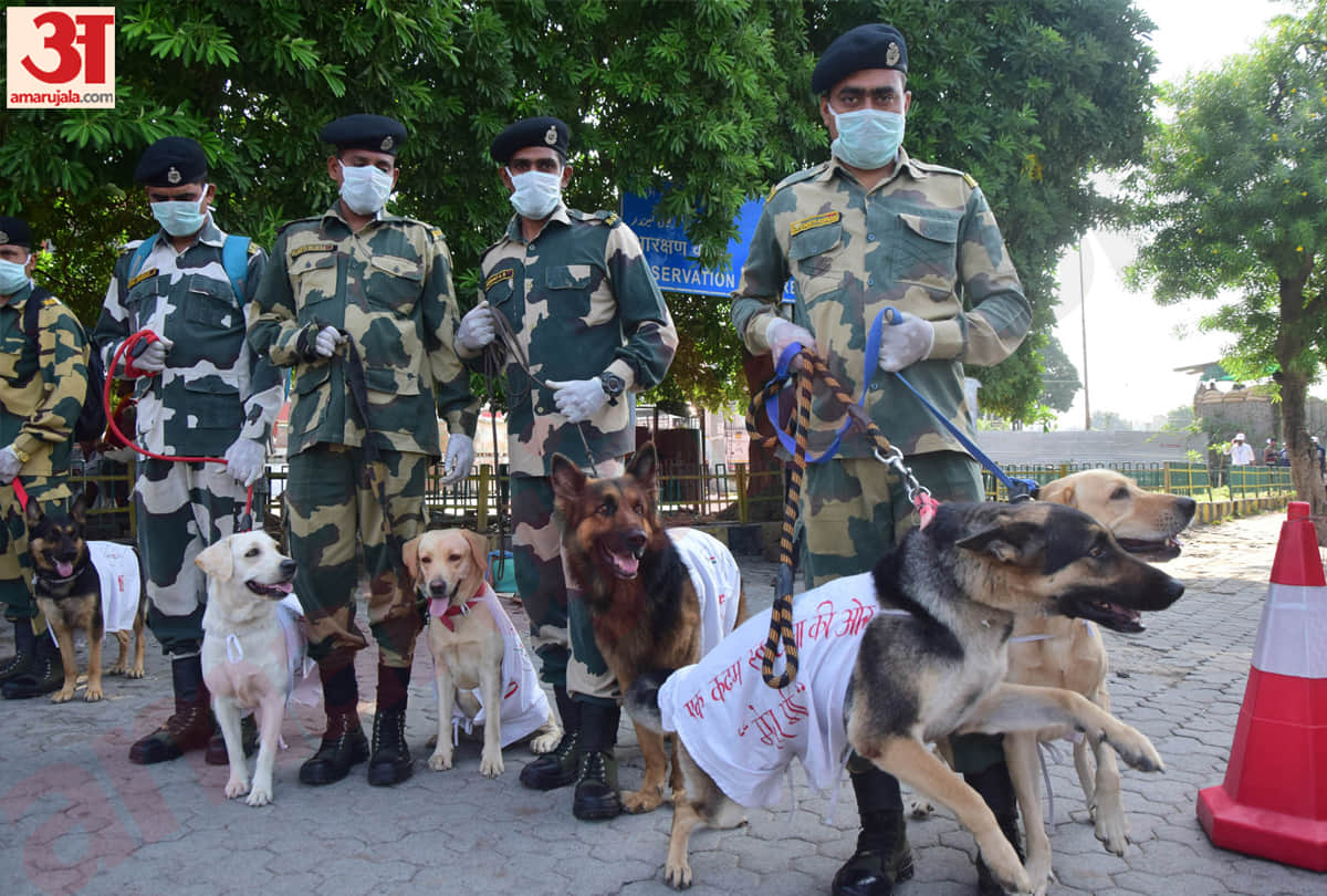 bsf dog squad run a cleanliness drive on jammu railway station on Gandhi jayanti