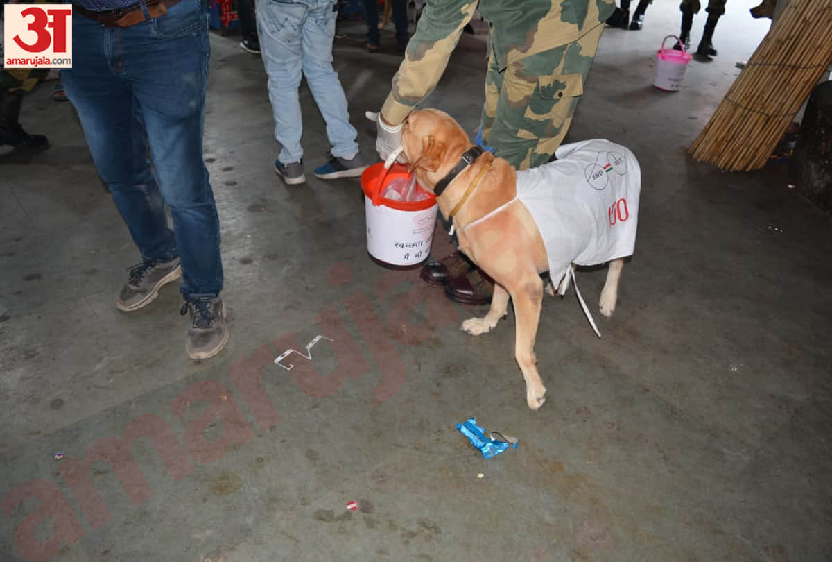 bsf dog squad run a cleanliness drive on jammu railway station on Gandhi jayanti