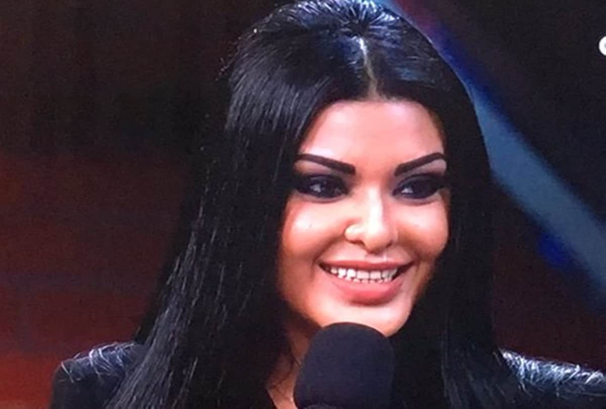 Bigg Boss 13: Koena Mitra Arhaan Khan To Khesari Lal Yadav Celebs Were Missing From Grand Finale