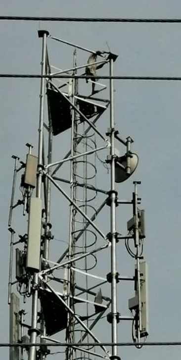 Old man climbed on mobile tower, escaped after six hours