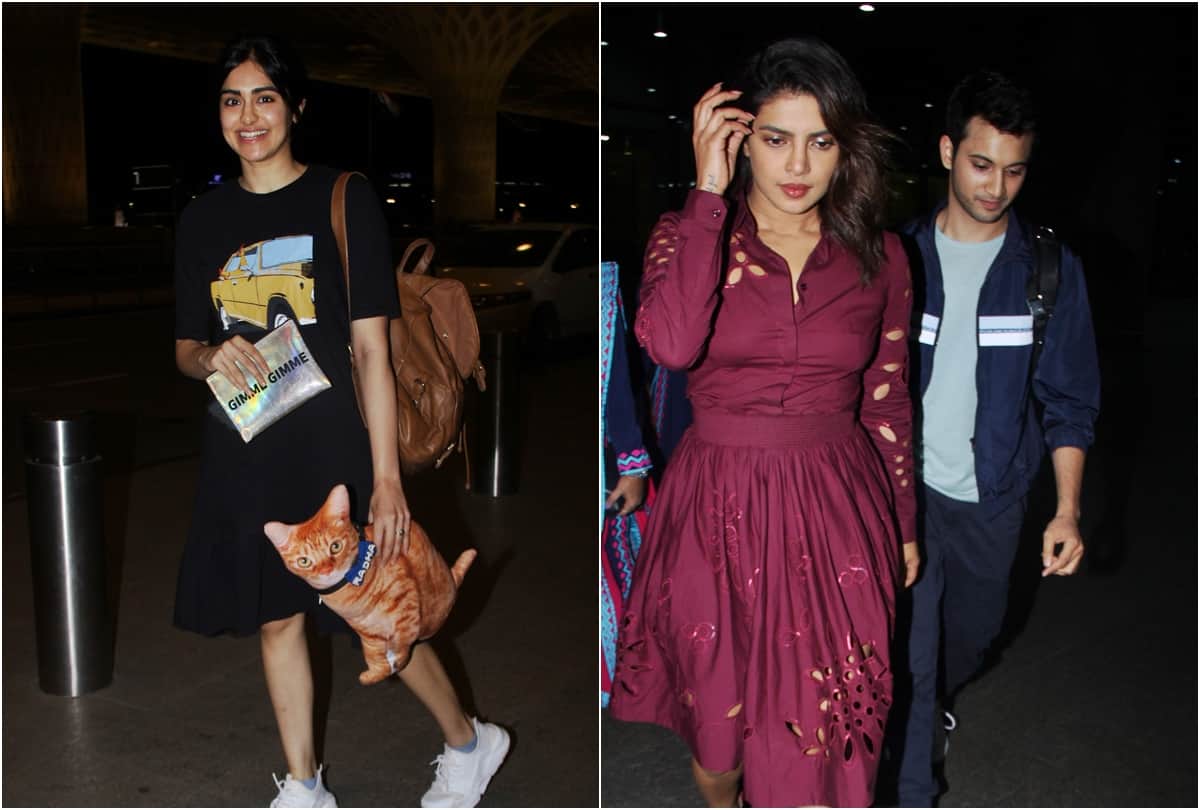 Bollywood celebs Spotted Amitabh Hrithik kartik Alia malaika Priyanka Chopra Ranveer Adah Himesh