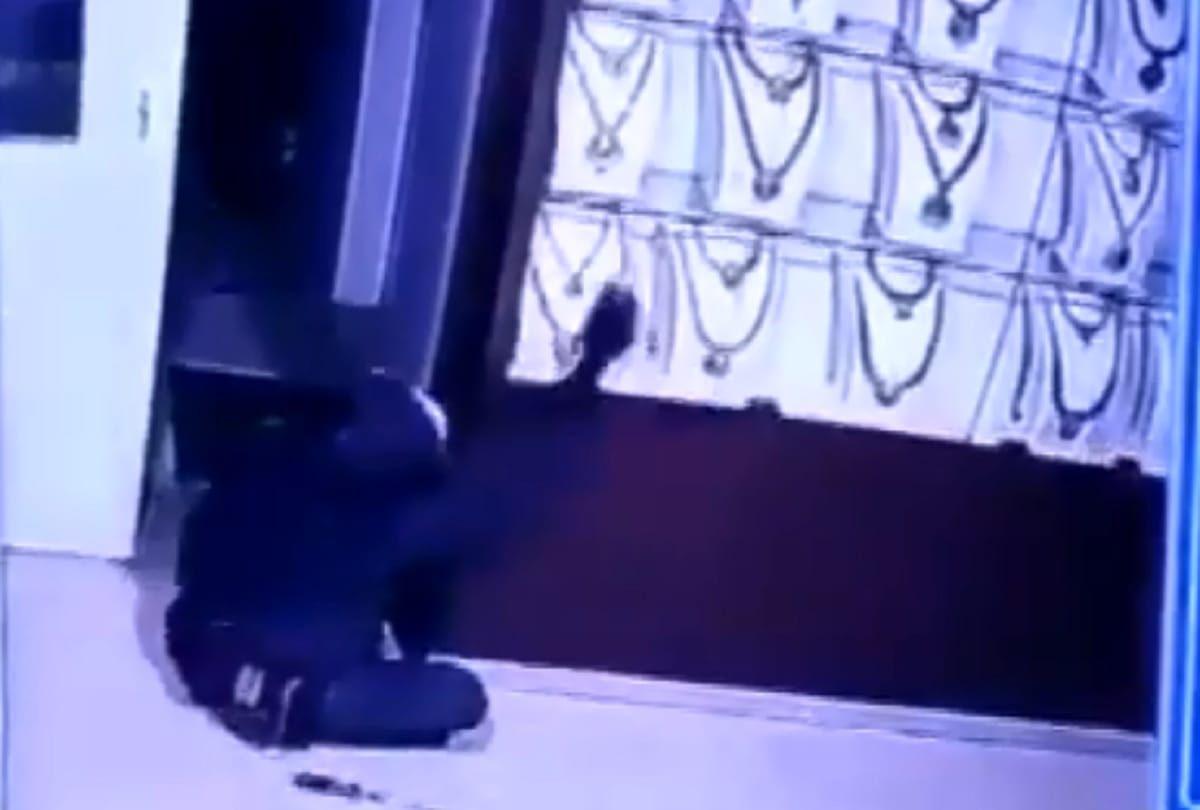 Two cat masked men stole gold worth Rs 13 crore from a jewellery store in Tamilnadu