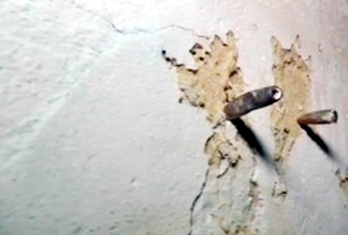 Locals from Kathua says We live in constant fear due to heavy firing from across the border