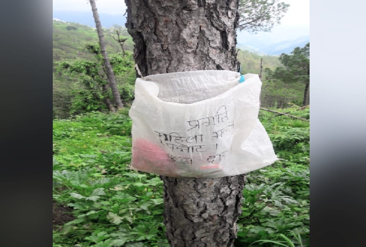 Sack bags hung on trees to free the panchayat from plastic waste, read whole case