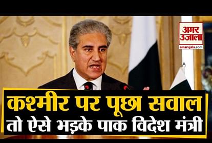 Pakistan Foreign Minister Shah Mehmood Qureshi lost his cool in TV show over Kashmir issue