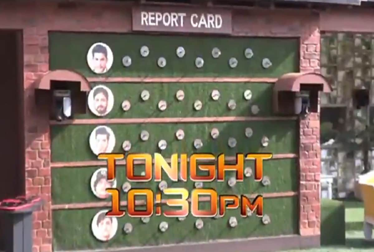 Bigg Boss 13 Report card task Rashami Desai to Shefali Bagga blame male members of the house