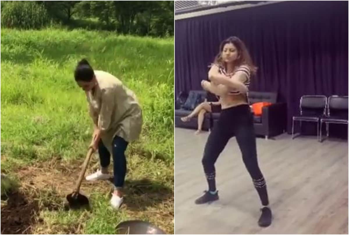 Bollywood news Capsule Kareena kapoor Khan urvashi rautela zareen khan vicky kaushal Alaia