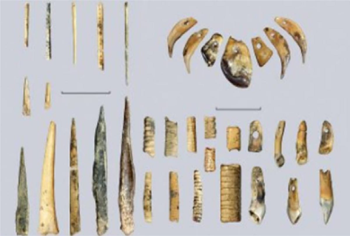 40000 year old bracelet found in siberia made by extinct human species