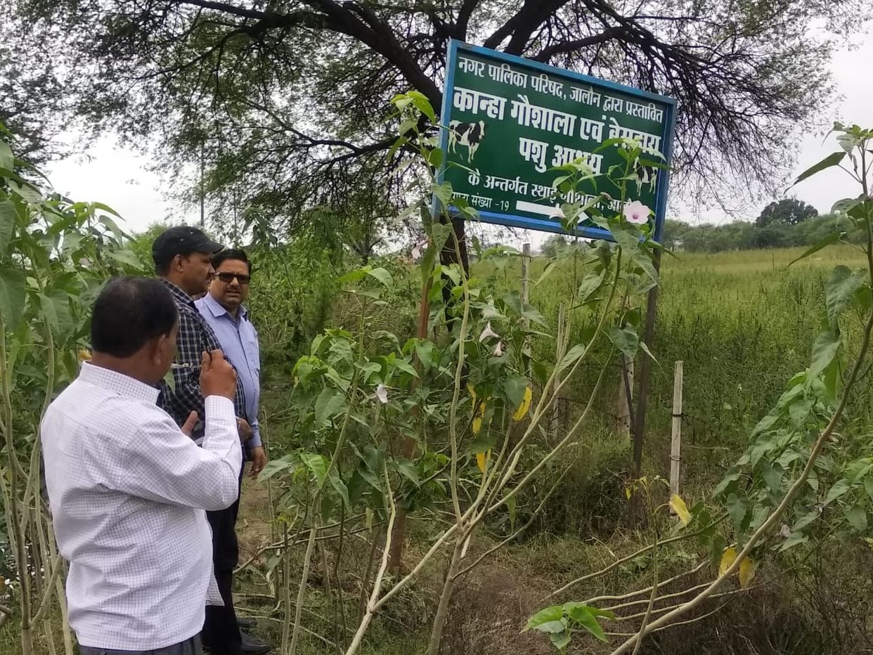 Gaushala will be built on Auraiya Marg at a cost of two and a half crores