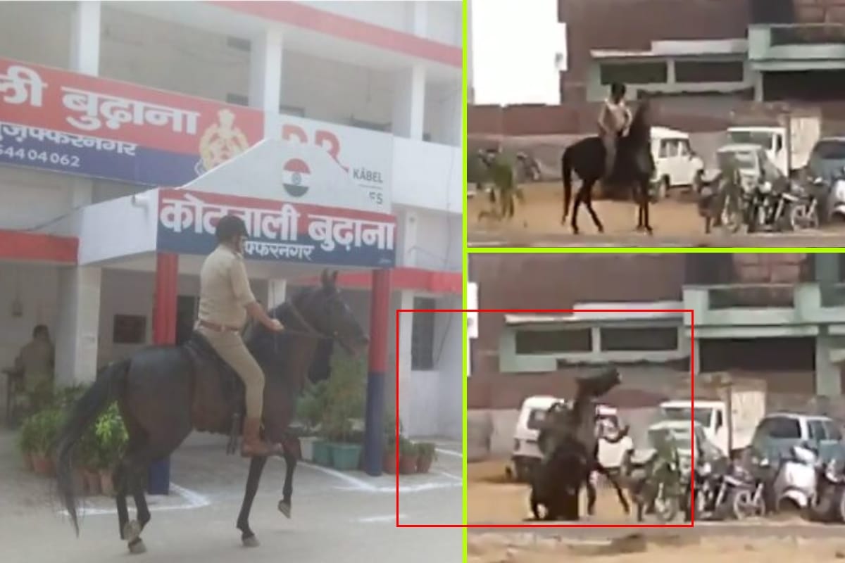 CO Budhana Vijay Singh fall down from the horse in Muzaffarnagar, video gone viral