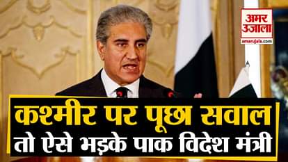 Pakistan Foreign Minister Shah Mehmood Qureshi lost his cool in TV show over Kashmir issue