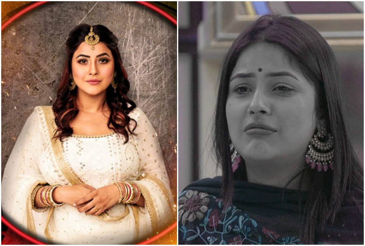 Bigg Boss 13 Salman Khan Shehnaz Kaur Gill 5 things impress everyone
