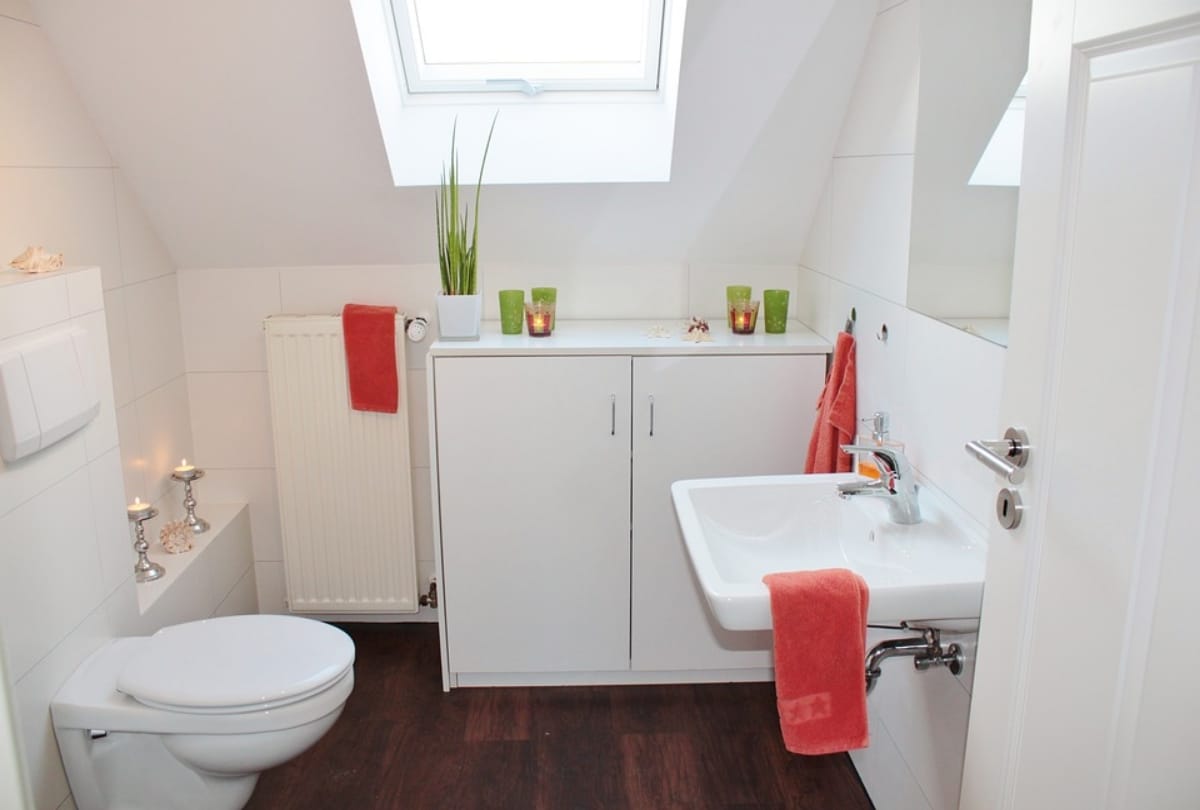 bathroom bad and shameful habits