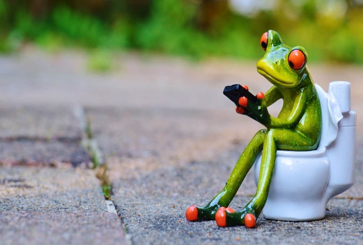 World Toilet Day 2019 weird things and facts about toilet