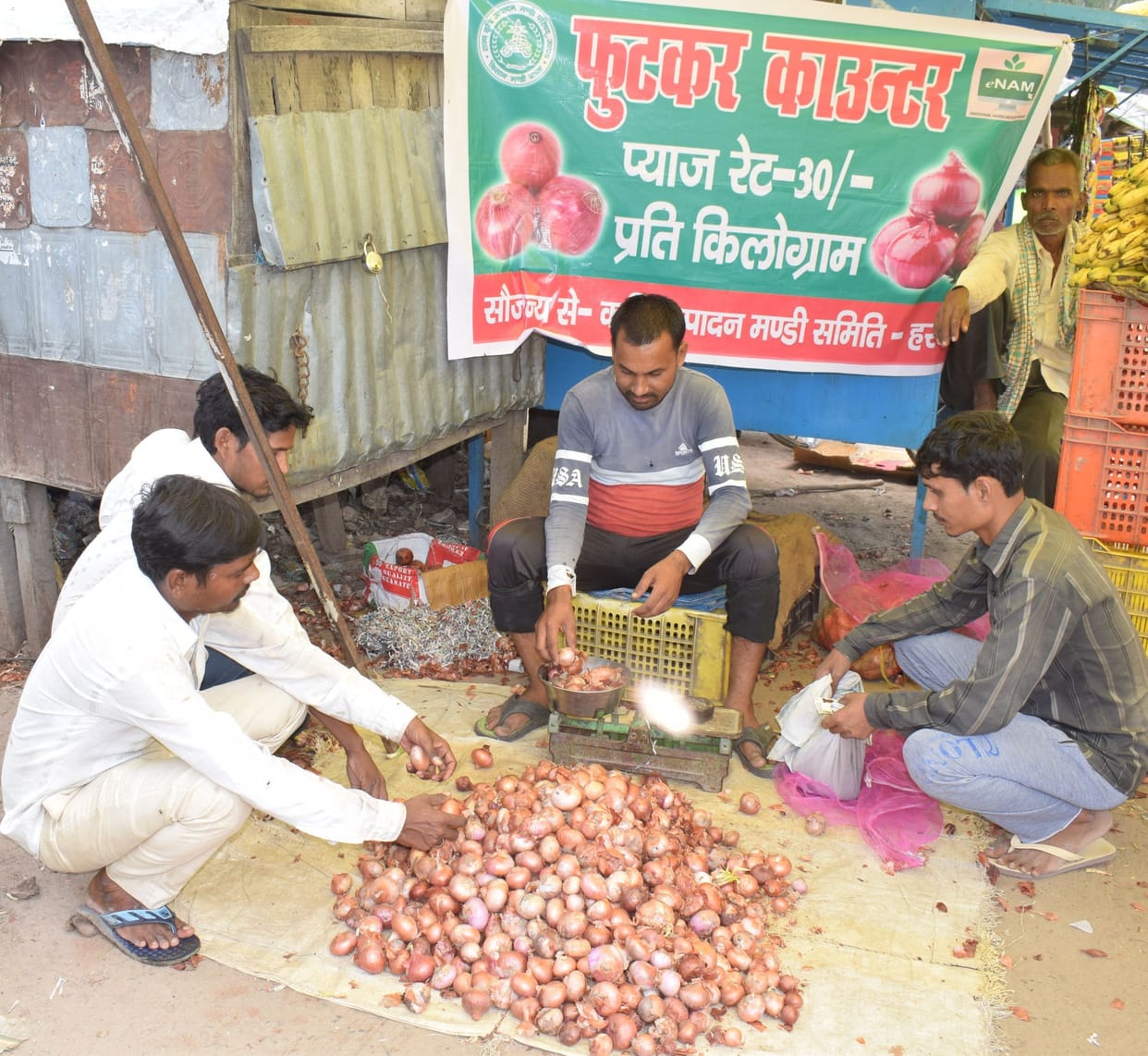 onion i