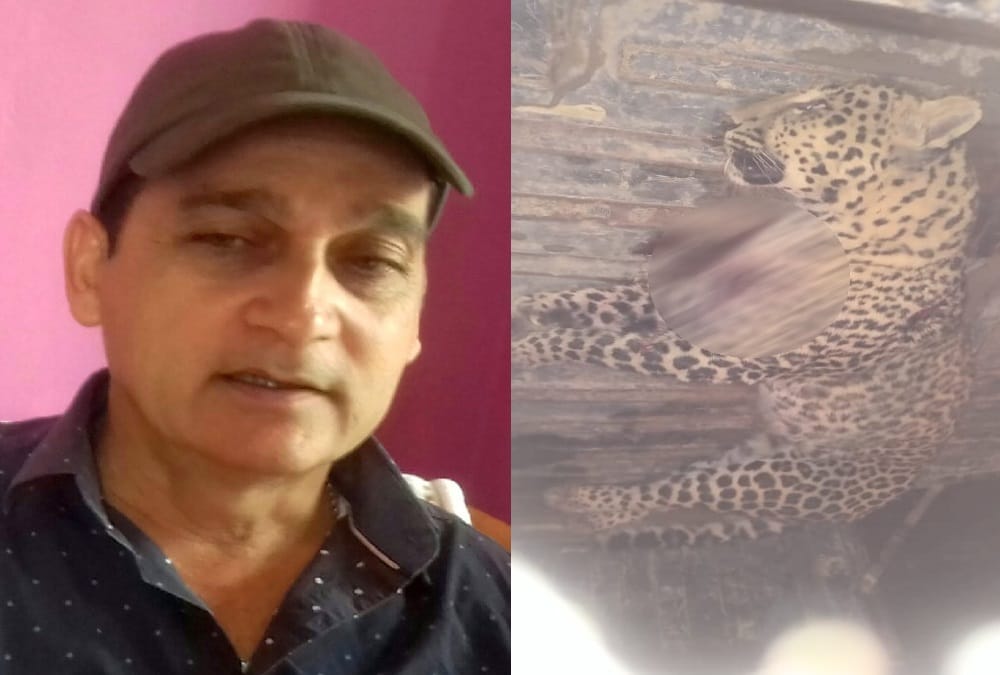 Cannibal Hungry Leopard Shot By Hunter Joy in pithoragarh
