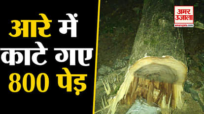 People hold protest against felling of trees in ‘Aarey Forest’ mumbai metro projeect