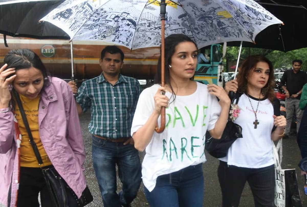 Aarey Forest Bollywood Stars Goes Angry On Social Media See Tweets