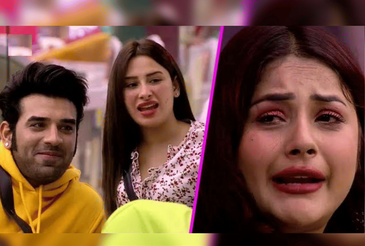 Bigg Boss13 koena mitra open her ex boyfriend and breakup story