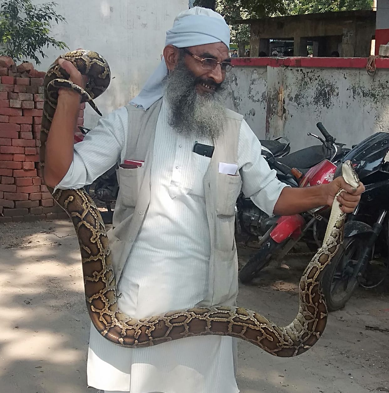 the villegers caught python