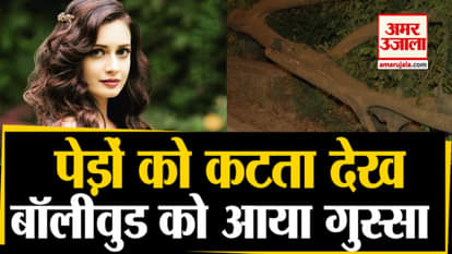 celebrity anger cutting aarey forest farhan akhtar dia mirza swara bhaskar priyanka chaturvedi